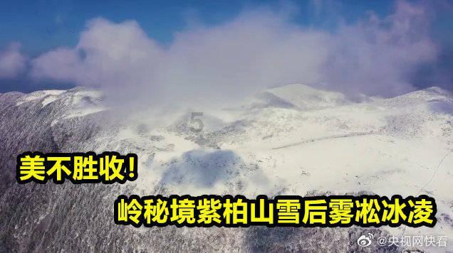 石嘴山市代表团:加快推动产业转型示范市高质量发展